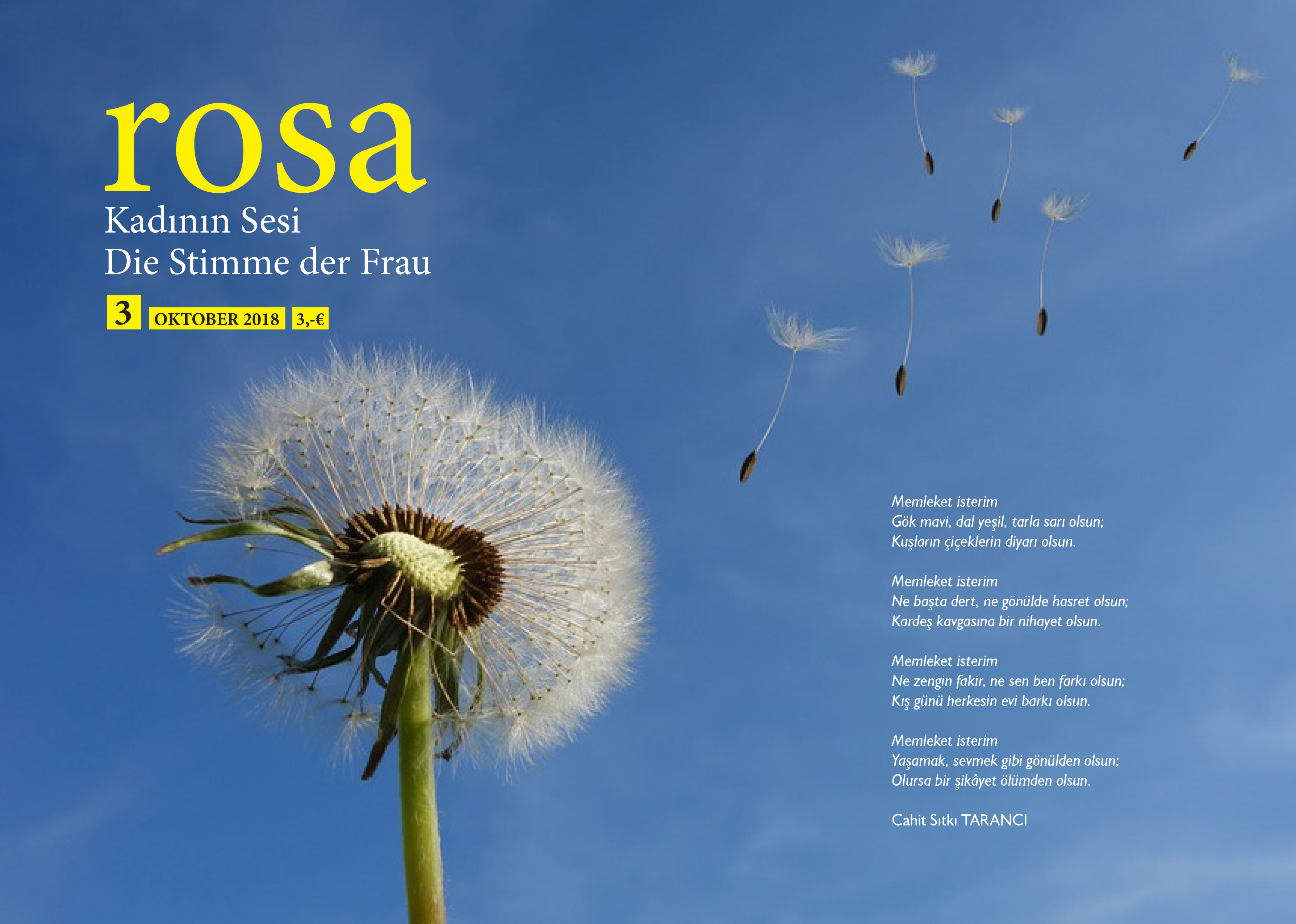 Rosa – Issue #3